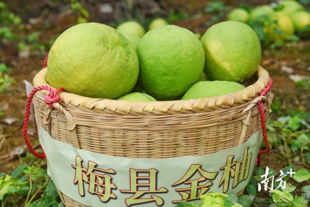 南方+ 何森垚 拍攝