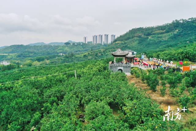 南方+ 何森垚 拍攝