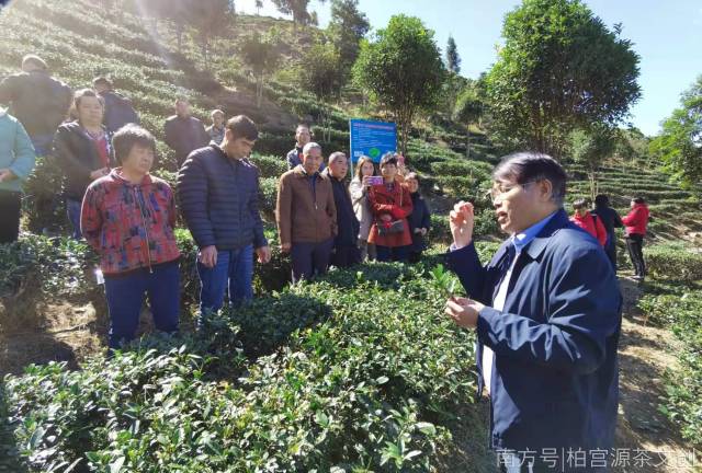 曹藩榮副院長(zhǎng)在茶園解答農(nóng)戶(hù)問(wèn)題