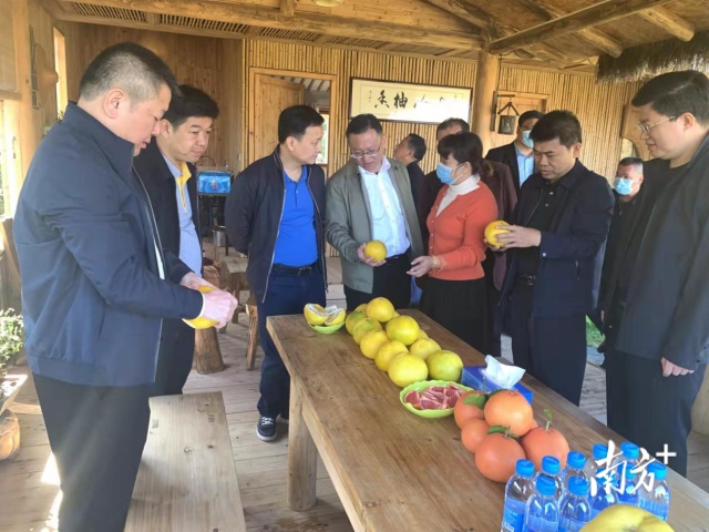 梅州市農(nóng)業(yè)農(nóng)村局聯(lián)合駐鎮(zhèn)成員單位到大埔大東調(diào)研鄉(xiāng)村振興幫扶工作