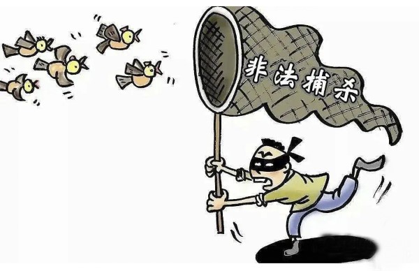 興寧：凈化網(wǎng)絡環(huán)境 織牢野生動物“保護網(wǎng)”