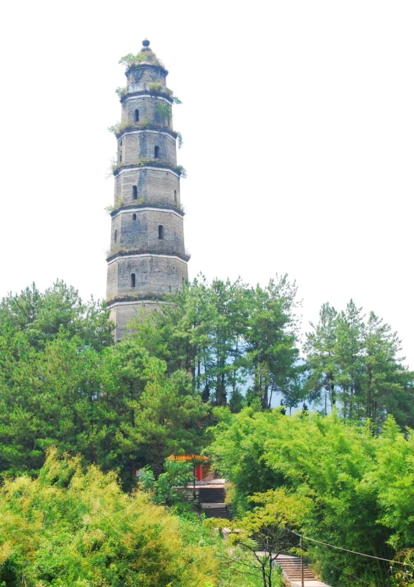 圖片