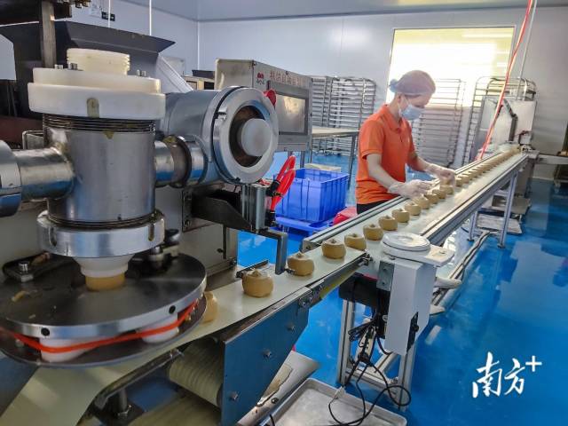 大埔省級蜜柚現(xiàn)代農業(yè)產業(yè)園內，廣東通美食品有限公司月餅生產線運轉不停。馬吉池 攝