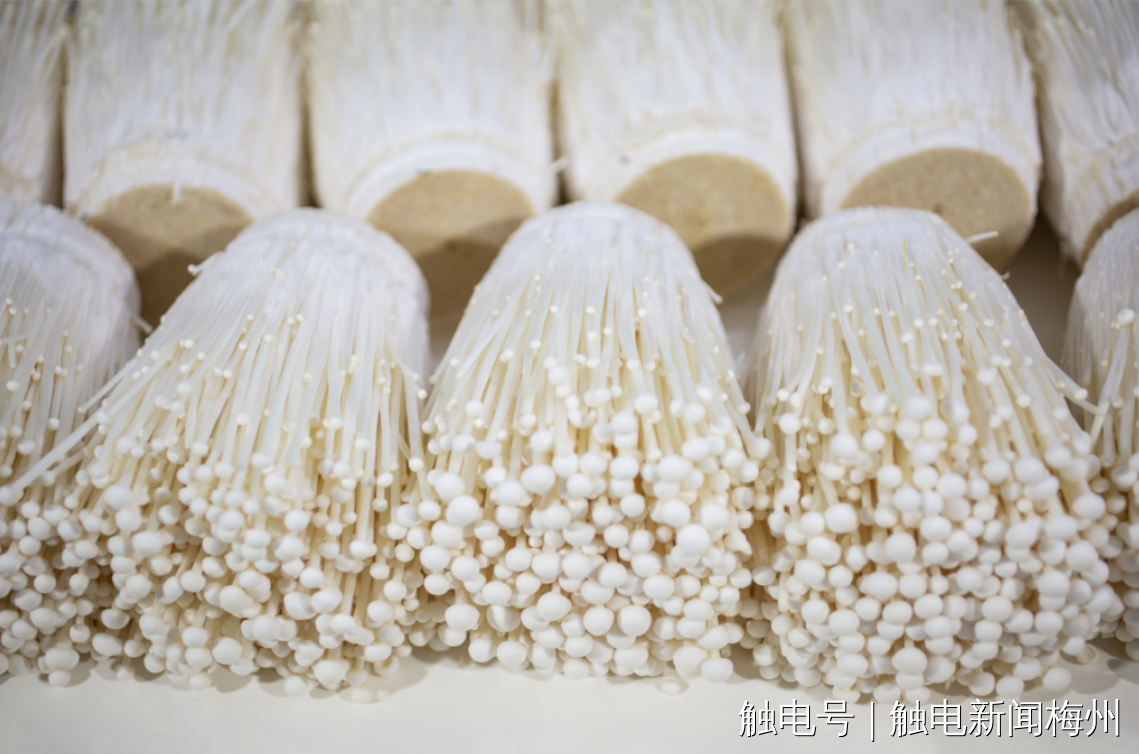 文章配圖