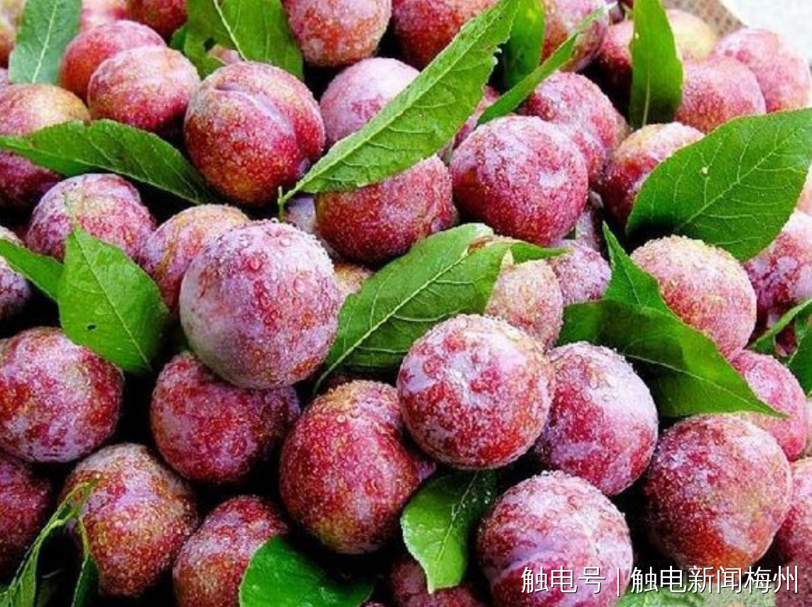 文章配圖