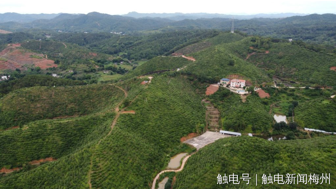 文章配圖