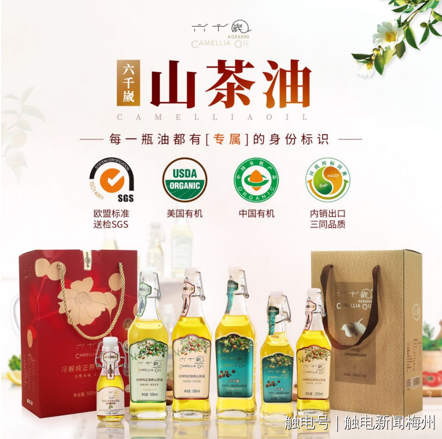 文章配圖