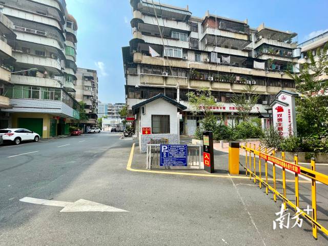 位于西郊街道的勤力苑小區(qū)背街小巷經(jīng)過提升改造，面貌煥然一新。南方日報(bào)記者 何苑妮 攝
