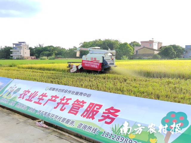 受訪者供圖