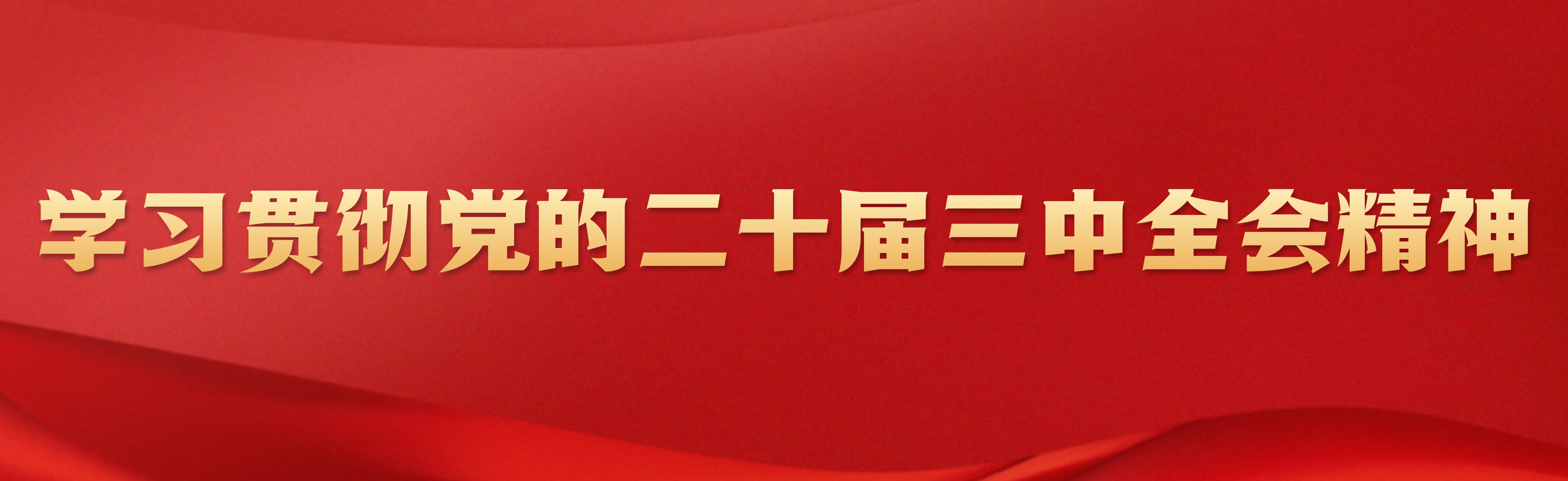 學(xué)習(xí)貫徹黨的二十屆三中全會(huì)精神