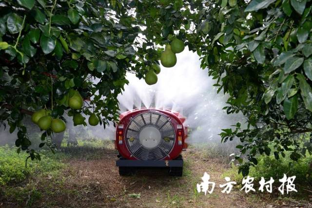 自走風(fēng)送式果園噴霧機(jī)