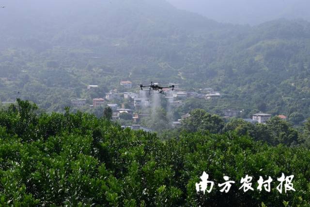 無人機(jī)作業(yè)場(chǎng)景演示