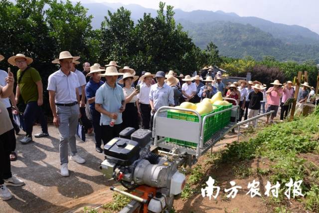 自走式單軌山地果園運(yùn)輸機(jī)是一眾農(nóng)機(jī)中的明星產(chǎn)品