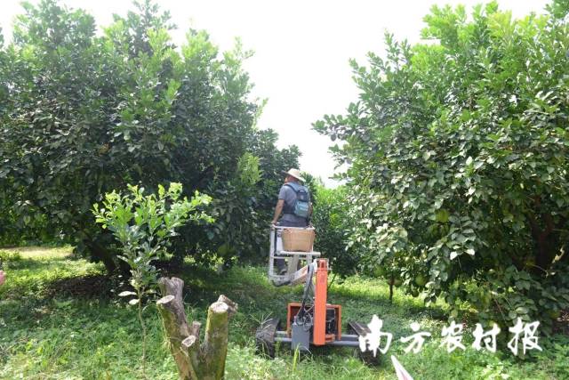 懸臂式高空作業(yè)機(jī)