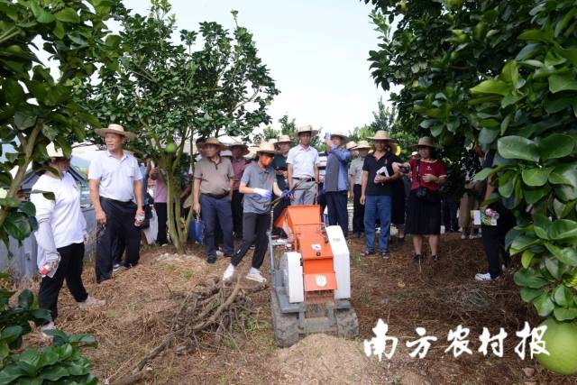 手扶履帶式枝條粉碎機(jī)