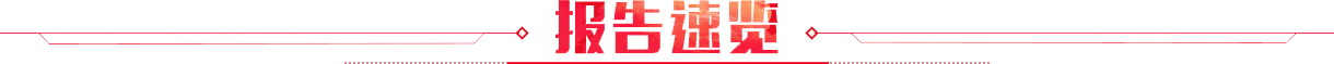報告速覽