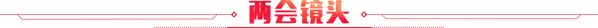 兩會鏡頭